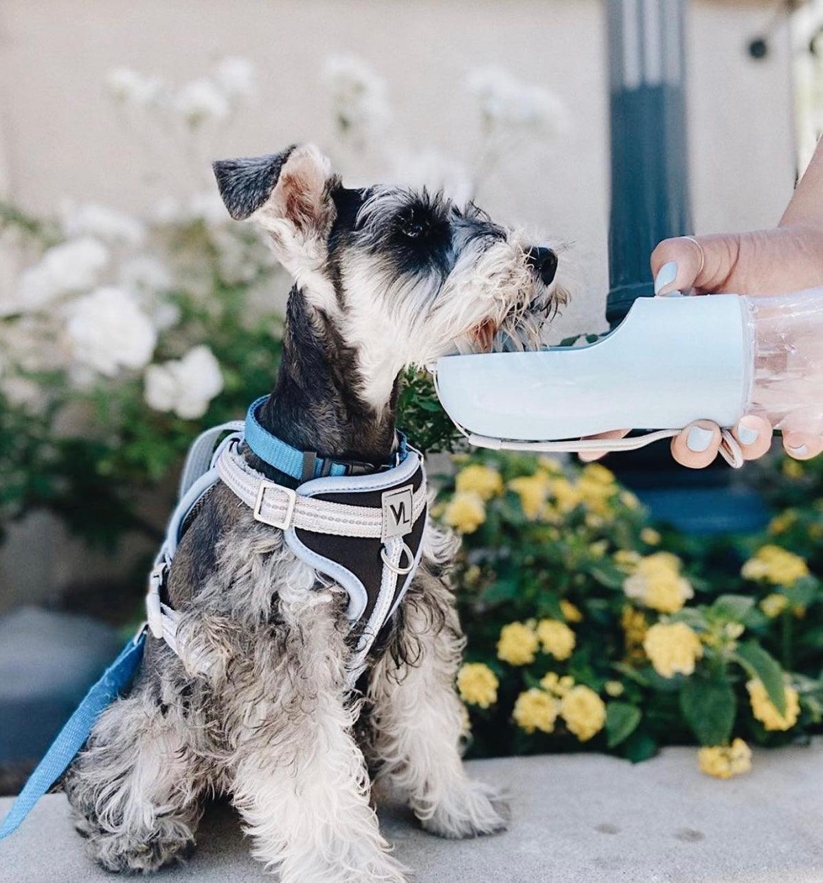 Light grey 2-in-1 portable pet feeder and dog apparel from PAWSOME PETS, featuring a compact design for pet feeding on the go.