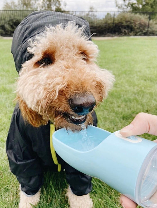 Light grey 2-in-1 portable pet feeder and dog apparel by PAWSOME PETS, featuring a compact design with feeding bowls and adjustable straps.