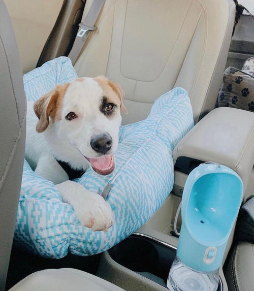 Light grey 2-in-1 portable pet feeder and water dispenser for dogs, featuring a compact, travel-friendly design by PAWSOME PETS.