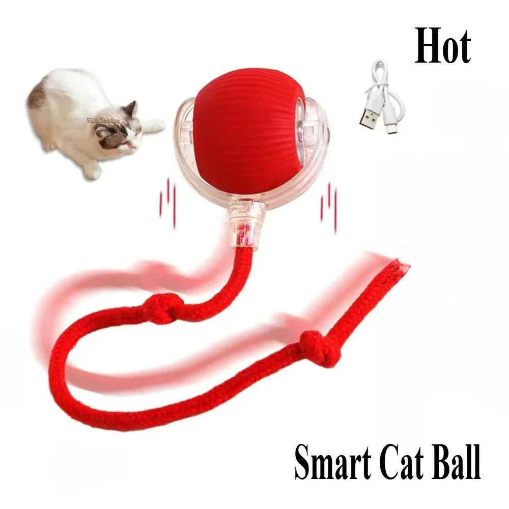 Rechargeable cat and dog rolling toy by Cashymart featuring colorful, interactive design for pets' play and exercise.