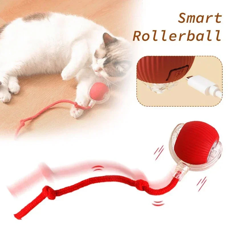 Rechargeable cat and dog rolling toy by Cashymart, featuring a colorful design to entertain pets with movement and sound.