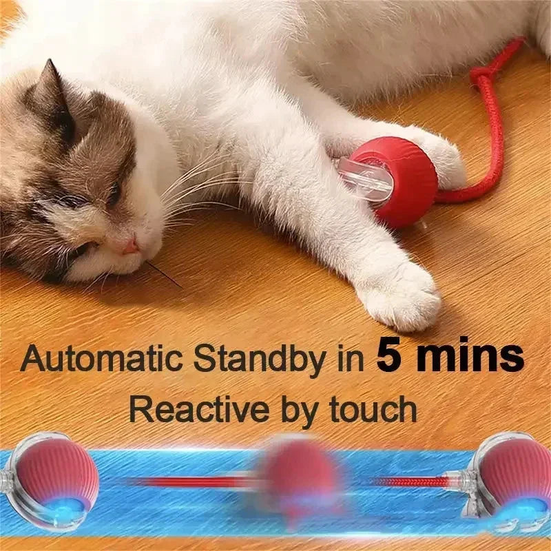 Rechargeable rolling toy for cats and dogs by Cashymart, featuring colorful design and durable construction for interactive pet play.