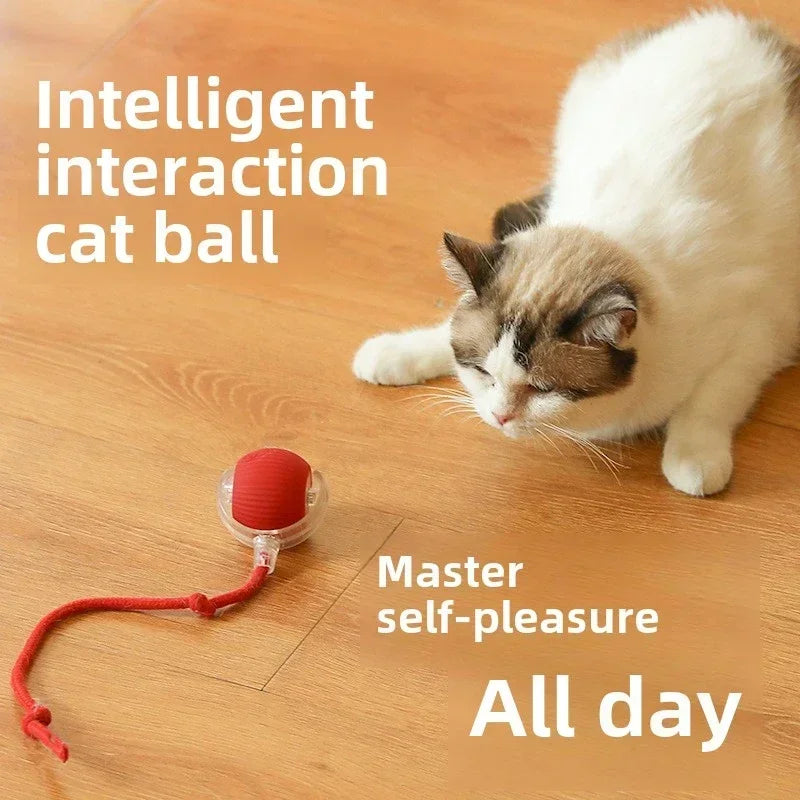Rechargeable rolling toy for cats and dogs by Cashymart, featuring colorful motion-activated design for pet play and entertainment.