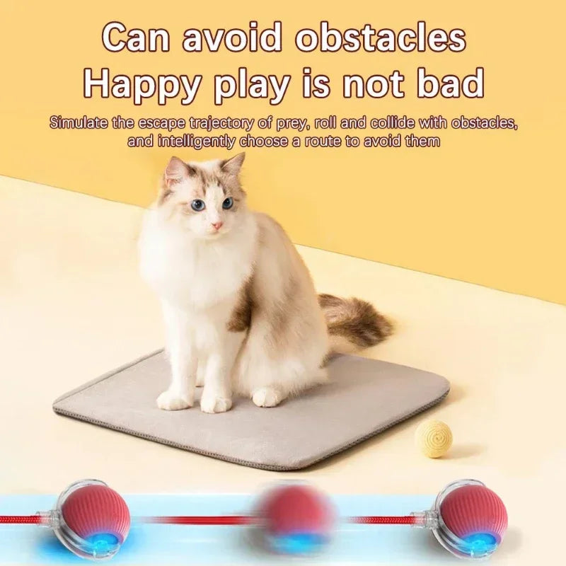 Rechargeable rolling toy for cats and dogs by Cashymart, featuring colorful design and durable construction for pet play.
