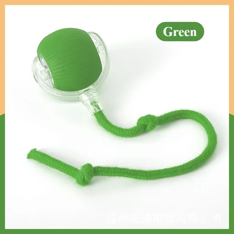 Rechargeable cat and dog rolling toy from Cashymart with colorful spinning wheels and playful design for pet entertainment.