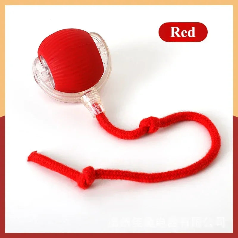 Rechargeable cat and dog rolling toy by Cashymart featuring colorful spinning wheels and a durable design for pet play.