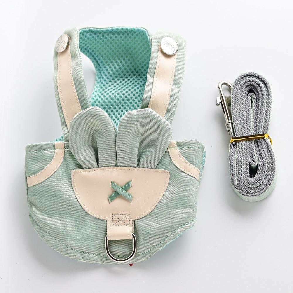 Dog Hugs Cat Cute Pet Adventure Set with a small dog vest and leash for walking cats and small dogs.
